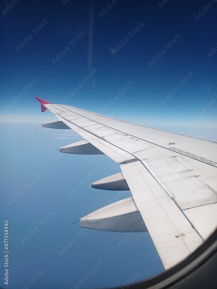 Airplane Wing Airplane Wing