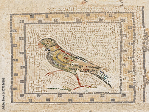 Ornate ancient roman floor tiles depicting a bird, detail of Ruins of Italica, Roman city in the province of Hispania Baetica photo