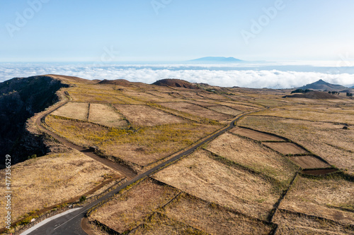 Dry yellow meadows with secondary road photo
