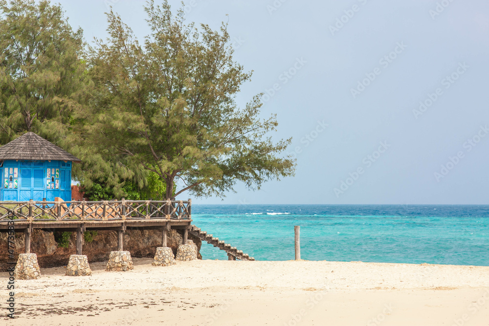 Naklejka premium sunny day blue house and greent tree on the seashore with azure sea on the background sunny day. Prison island, Stown Town, Zanzibar, Tanzania, Africa