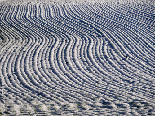 Geschwungene geometrische Muster (parallele Furchen) auf einer beschneiten Ackerfläche mit Schnee bei tiefem Sonnenstand