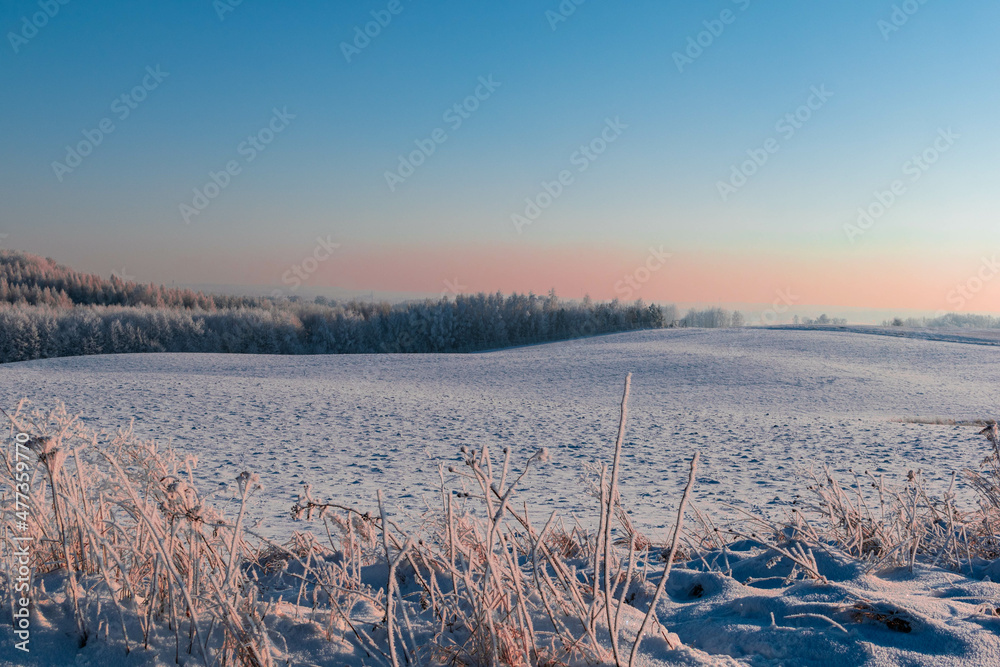 winter landscape in the sunset