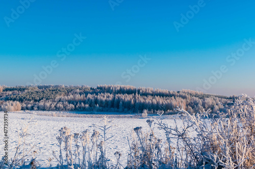 winter landscape with snow