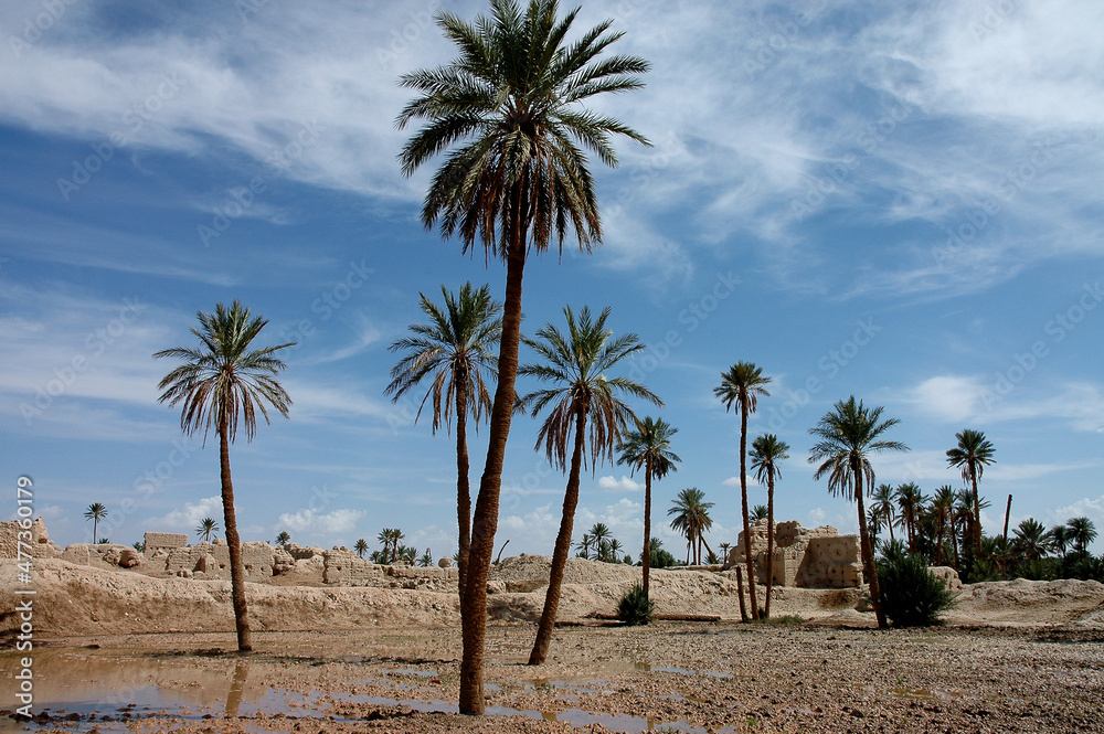 Tafilalet and Rissani, south-eastern Morocco