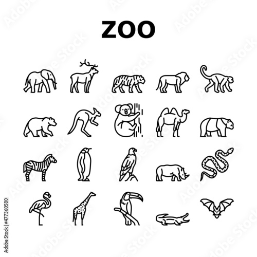 Zoo Animals, Birds And Snakes Icons Set Vector. Exotic Tiger And Elephant, Deer And Kangaroo, Camel And Panda Bear, Zebra And Monkey In Zoo Line. Flamingo And Penguin Black Contour Illustrations
