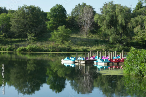 Fototapeta Naklejka Na Ścianę i Meble -  Eugene T. Mahoney State Park
