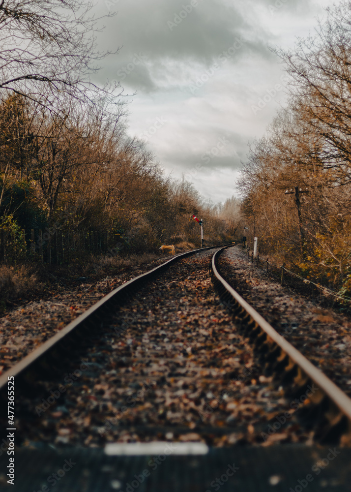 Railway in the countryside in the autumn morning.