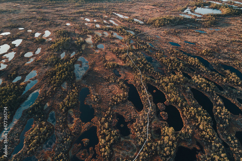 Aerial view of springtime bog-lakes, forest and pathway in Seli bog in the evening, Jarvamaa, Estonia. photo