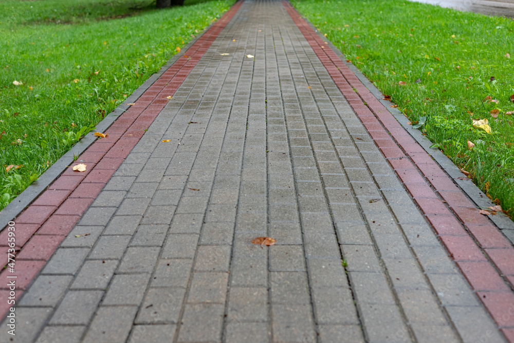 Decor design promenade pathway outdoor walking running cycle path constructed of red bricks gray cobble stones and poured concrete flooring for scenic abstract background. Green lawn on both sides