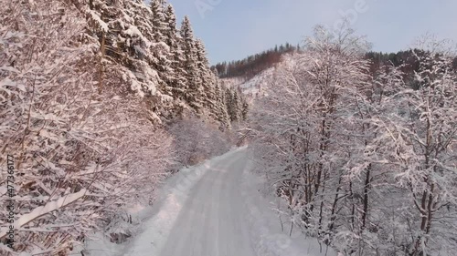Winter in the mountains. Forest in the snow. Shooting from a quadcopter.