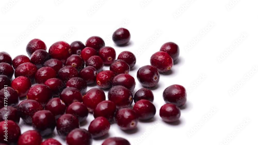 fresh red cranberries isolated on white background fresh red cranberries isolated on white background