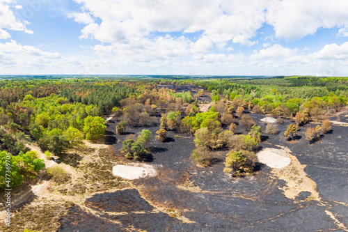 Aerial view of burned forest, Meinweg national park, Herkenbosch, Limburg, Netherlands. photo