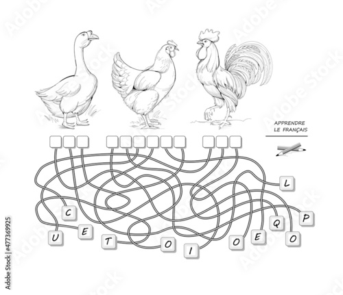 LEARN FRENCH. Logic puzzle game with farm birds for study French language. Find correct places for letters, write them and read the word. Printable worksheet with maze for kids textbook.