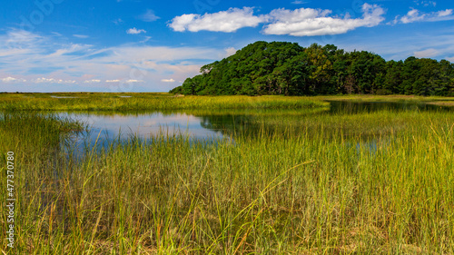 MA-CAPE COD-TRURO-PAMET RIVER