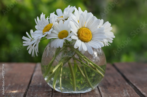 Bouquet of stunning large white daisies in glass vase on a wooden table. Beautiful white daisies in a transparent vase.A large white daisies.A beautiful bouquet of garden flowers on wooden table