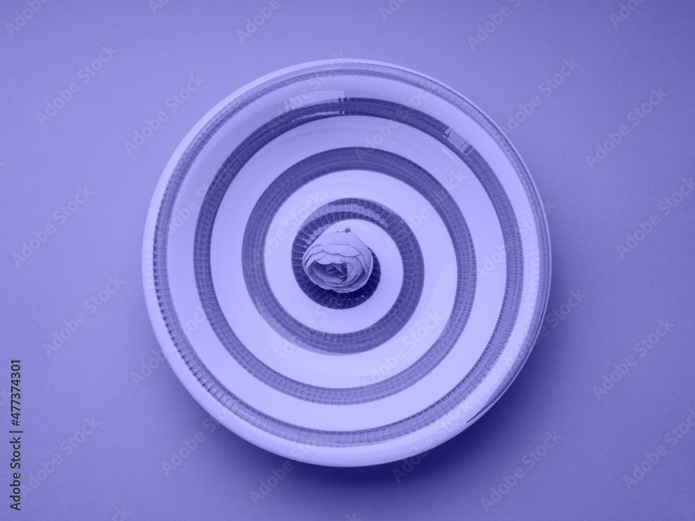 Purple color pastel ceramic dish with spiral Purple color pastel ceramic dish with spiral