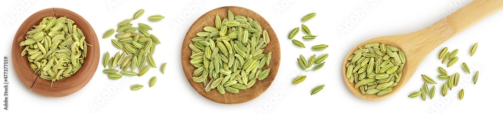 Dried fennel seeds isolated on white background with clipping path. Top view. Flat lay. Set or collection Dried fennel seeds isolated on white background with clipping path. Top view. Flat lay. Set or collection