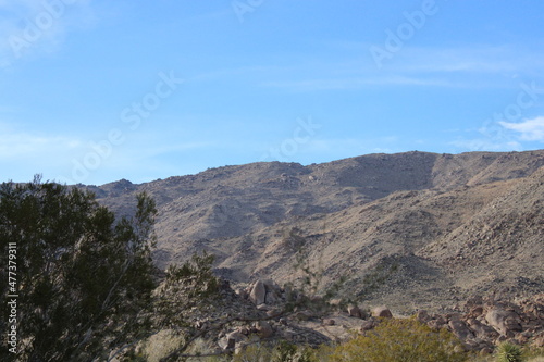 Mountain landscape view
