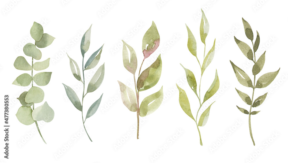 Watercolor green, mint, lilac wild leaves set. Isolated on white background. Hand drawn floral illustrations. For wallpaper, postcard, print, invitations, patterns, poster, packaging, linens etc Watercolor green, mint, lilac wild leaves set. Isolated on white background. Hand drawn floral illustrations. For wallpaper, postcard, print, invitations, patterns, poster, packaging, linens etc