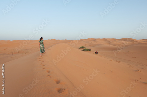 Yellow, golden and arid desert view. Camel in hot Sahara. Caucasian Woman with green dress.