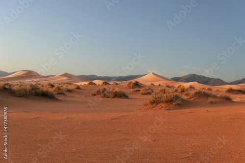 Sahara desert s dunes at sundown  Great feeling of freedom and relax. Amazing view.