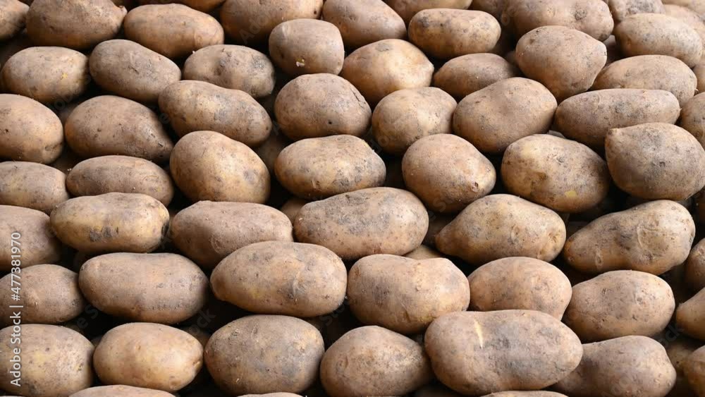Potatoes for sale at vegetable market, close up. Boxes full of potatoes in shop. Fresh potato at the greengrocer's stall. Potatoes for sale at vegetable market, close up. Boxes full of potatoes in shop. Fresh potato at the greengrocer's stall.