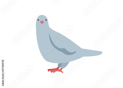 Pigeon bird. Simple flat illustration