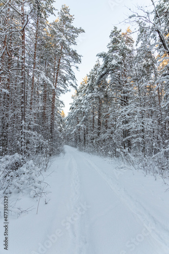 Beautiful winter calendar landscape with a lot of snow on forest road