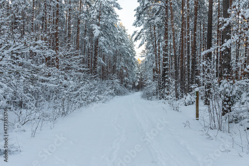 Beautiful winter calendar landscape with a lot of snow on forest road