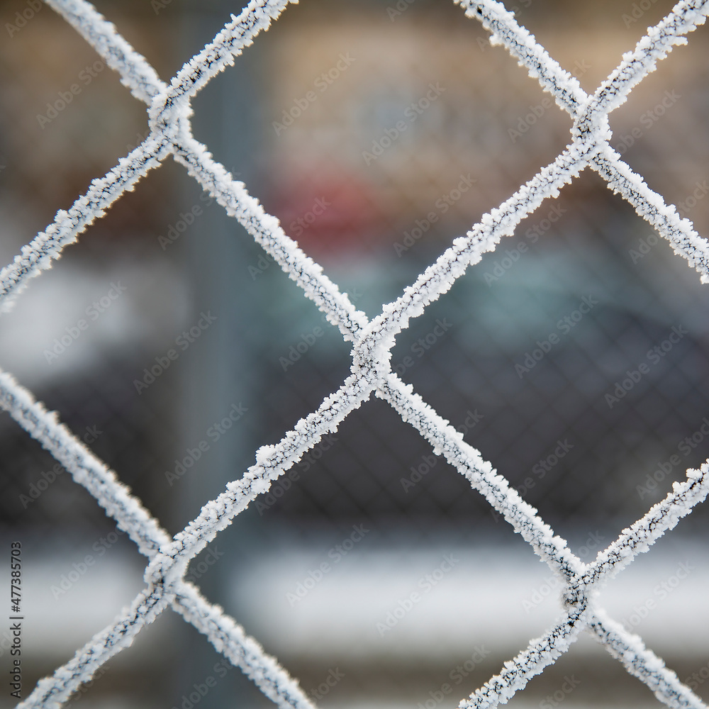 Metal fence in winter. Snow on the fence.. Frozen fence.