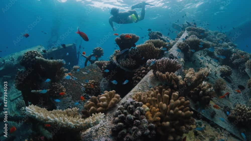 Underwater view of the shipwreck in crystal clear water in Maldives with fishes and people snorkelling around Underwater view of the shipwreck in crystal clear water in Maldives with fishes and people snorkelling around