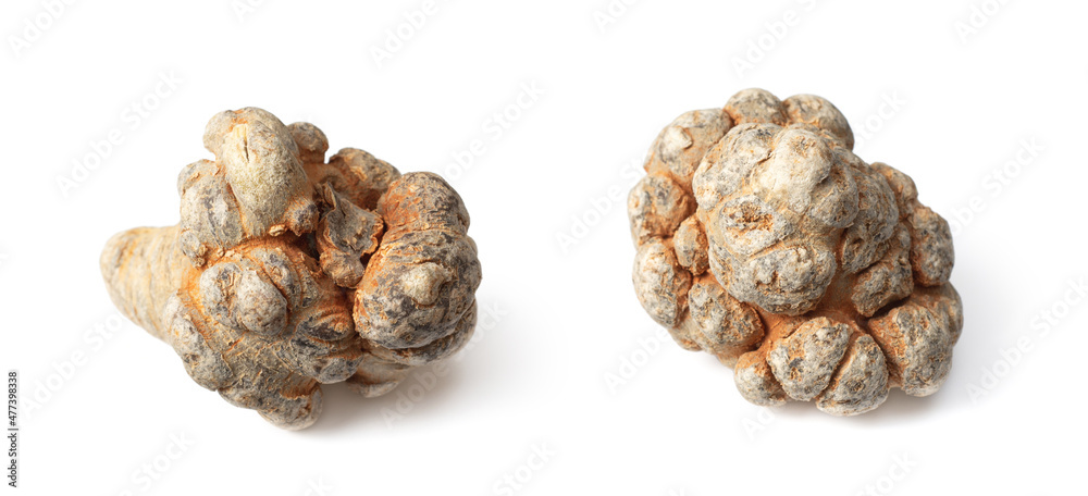 Dried notoginseng isolated on white background Dried notoginseng isolated on white background