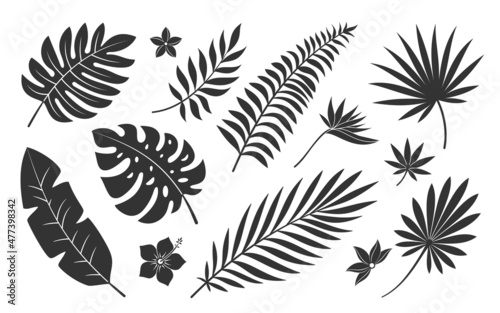 Tropical leaf flower plant black silhouette set. Botanical stamp tattoo imprint badge pattern fabric cosmetic site spa. Palm branch exotic bird paradise flower hibiscus plumeria isolated on white
