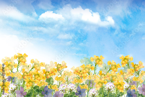 春の花畑の風景　水彩画