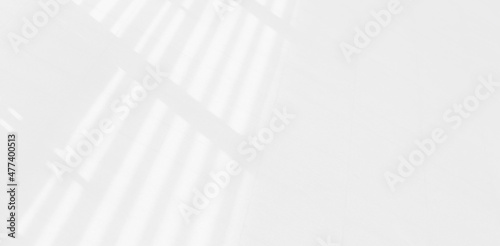 Abstract blurred background. reflection of leaves and gray light lines. reflected on the white concrete wall.