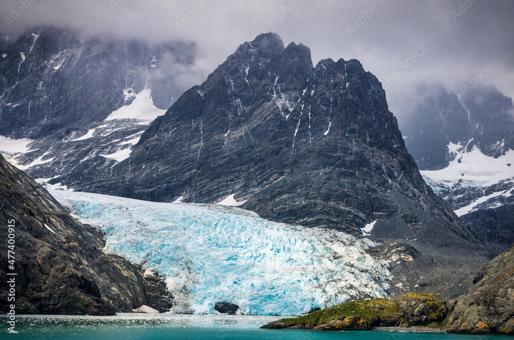 Glacier flowing into the sea with mountains behind it on South Georgia Island