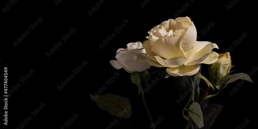 fake flowers or beautiful textile flowers on a dark background