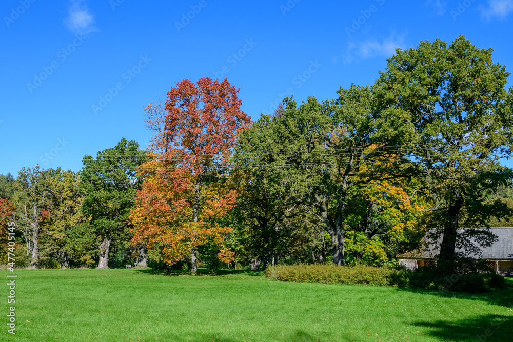 UNGURMUIZA, LATVIA. 26th September 2021. Park near Ungurmuiza manor, Latvia. Autumn landscape.