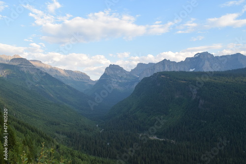 Verdant Mountain Valley