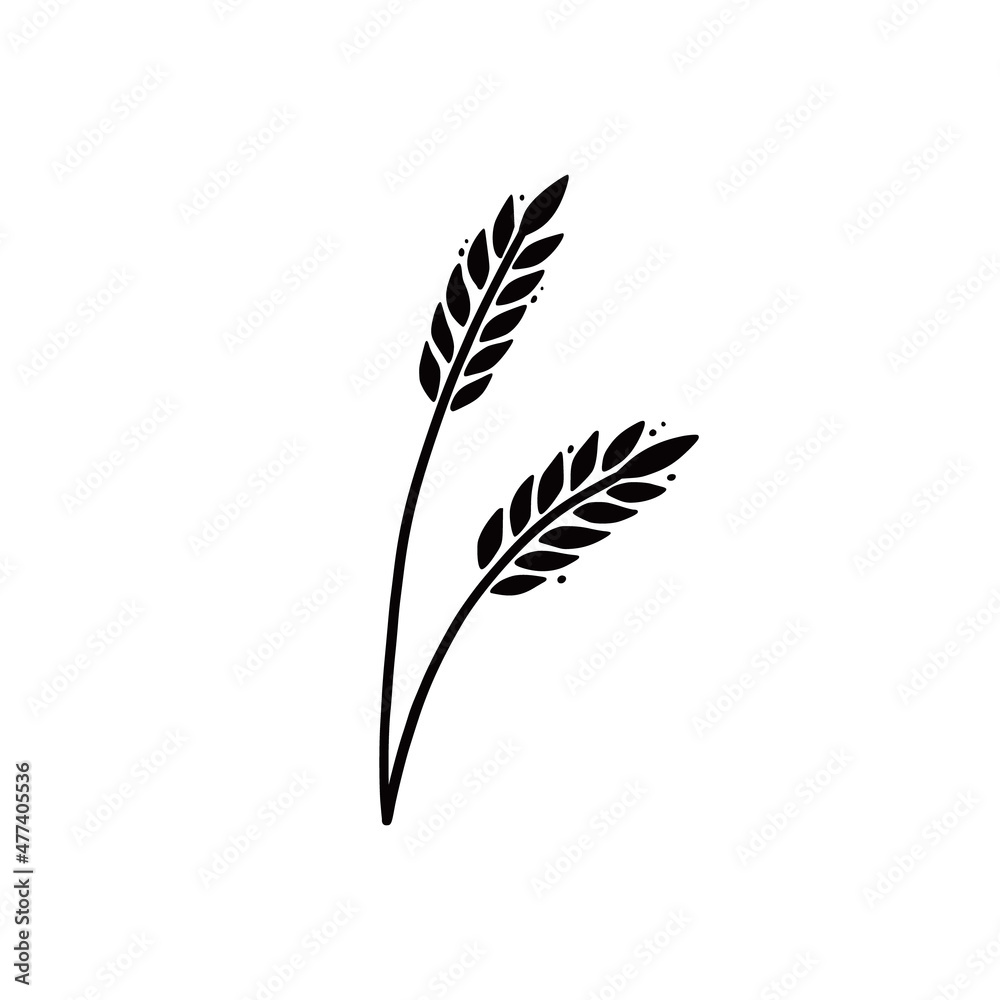 Wheat, barley, rice icon. Hand drawn sketch style oat with grain. Wheat isolated vector illustration. Wheat, barley, rice icon. Hand drawn sketch style oat with grain. Wheat isolated vector illustration.