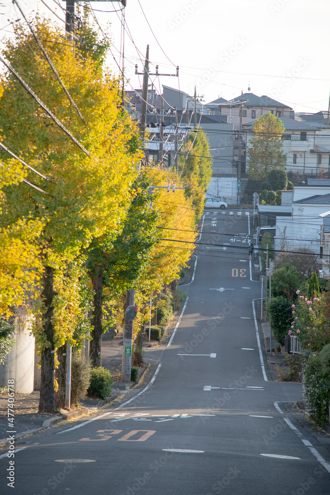 秋の郊外の坂道