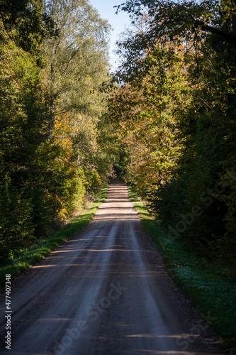 Selective focus photo. Forest road.