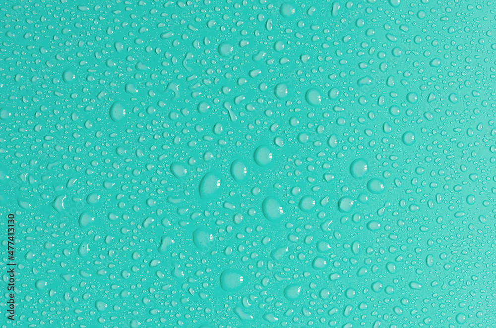 Light green background with large and small drops of water. The texture of a water drop on a colored background is a top view.