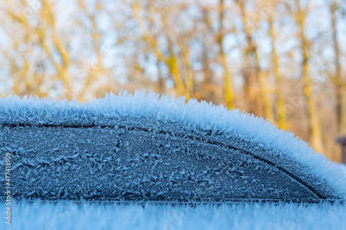 Fototapeta Naklejka Na Ścianę i Meble -  Szron na bagażniku