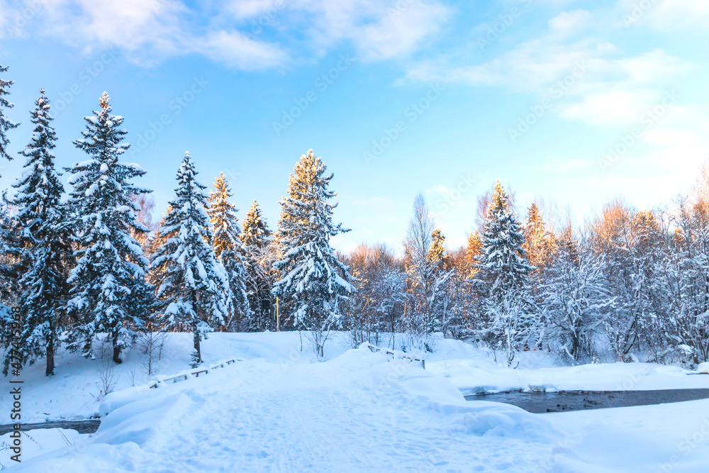 Fototapeta premium Winter snowy frosty landscape of a coniferous forest, blue sky, flowing river. 