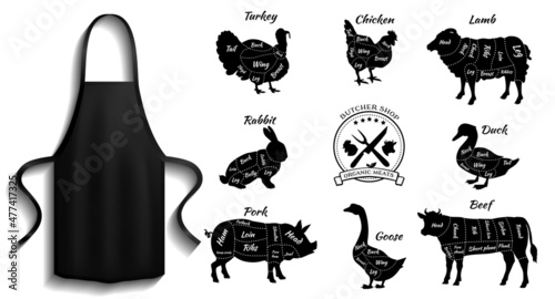 Protective garment for cooking near meat cutting scheme icons. Clothes for work in kitchen, element of clothing for cooking. Chef clothing next to animal meat. Apron for cooking dish in kitchen