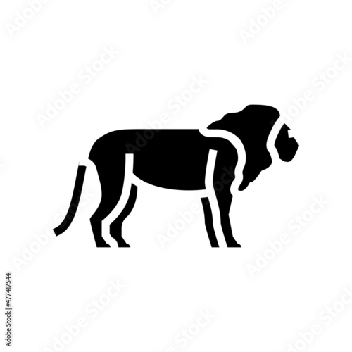 lion animal in zoo glyph icon vector. lion animal in zoo sign. isolated contour symbol black illustration