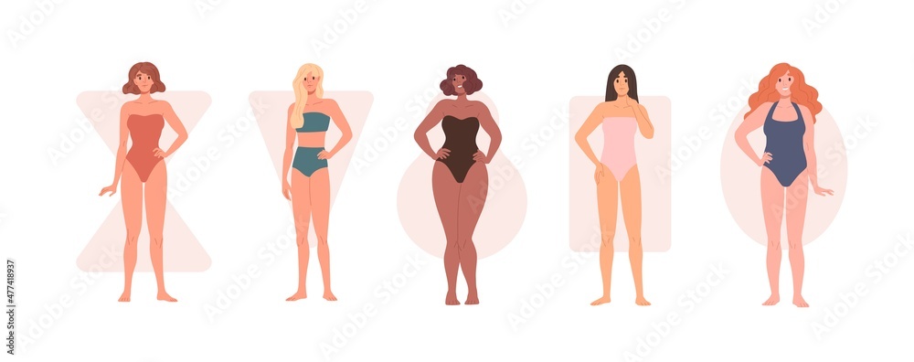 Different body shape types. Diverse women in underwear and bikini portraits  with rectangle, inverted triangle, hourglass, pear and apple figures. Flat  vector illustrations isolated on white background Stock Vector