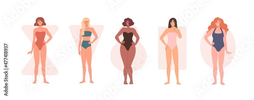 Different body shape types. Diverse women in underwear and bikini portraits with rectangle, inverted triangle, hourglass, pear and apple figures. Flat vector illustrations isolated on white background photo