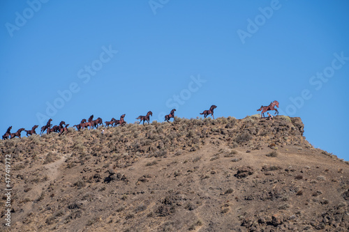 Valokuva Wild Horse Monument
